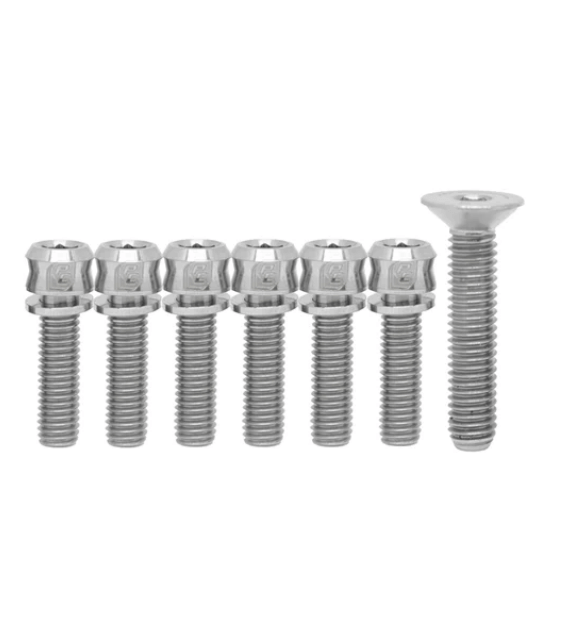 Kit Tornillos Potencia Avellanado Plateado